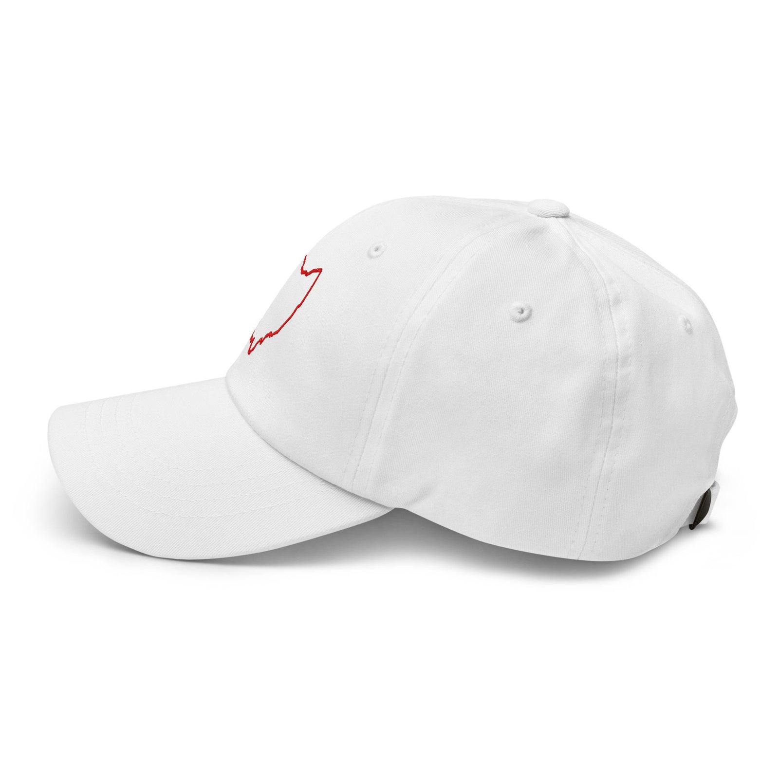 Red Ohio Outline Dad Hat