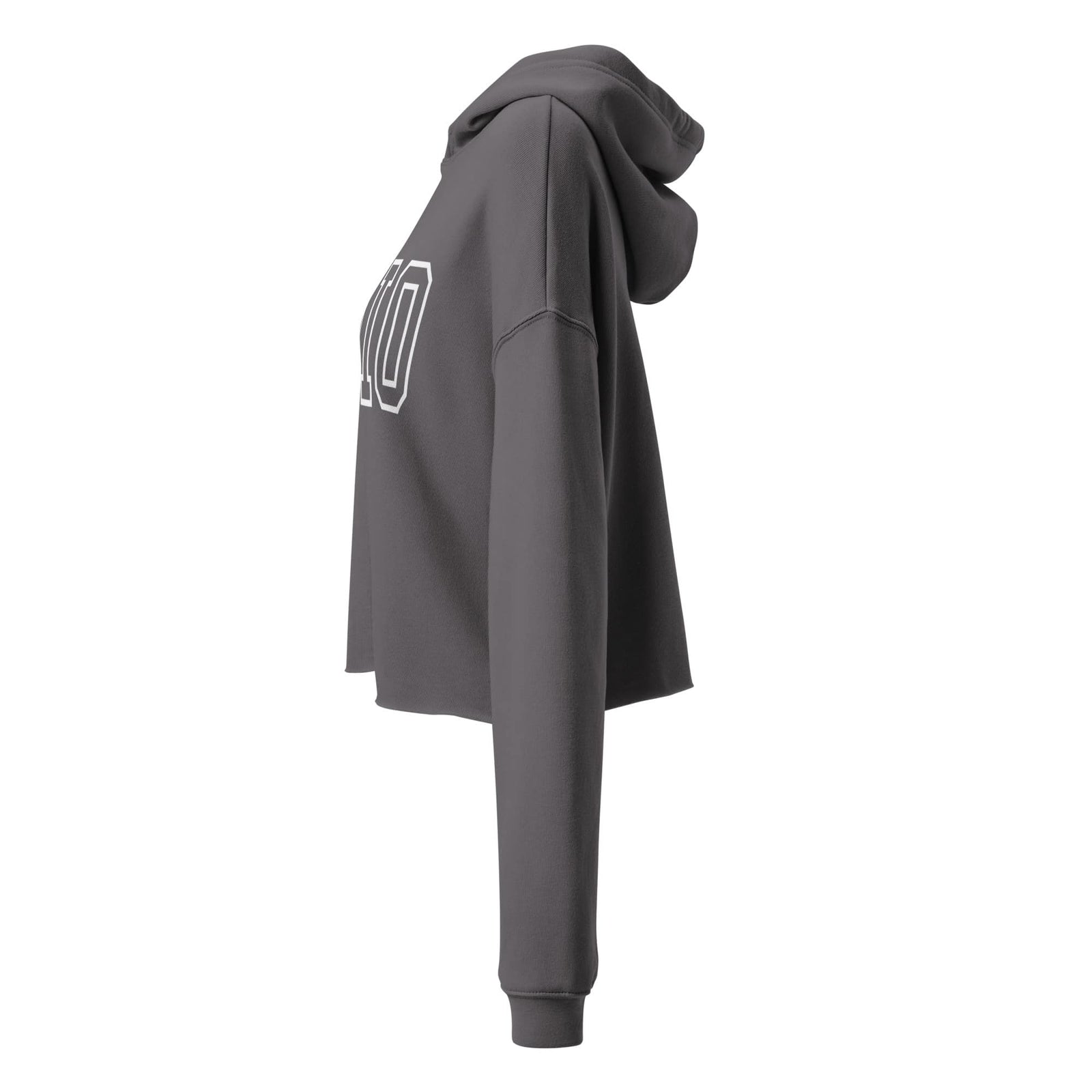 Collegiate Ohio Cropped Hoodie