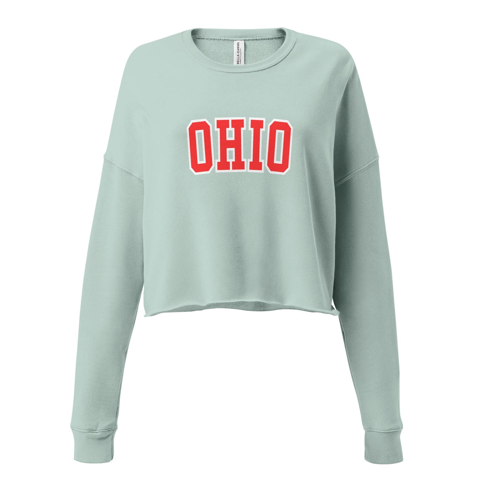 Red Collegiate Ohio Cropped Sweatshirt