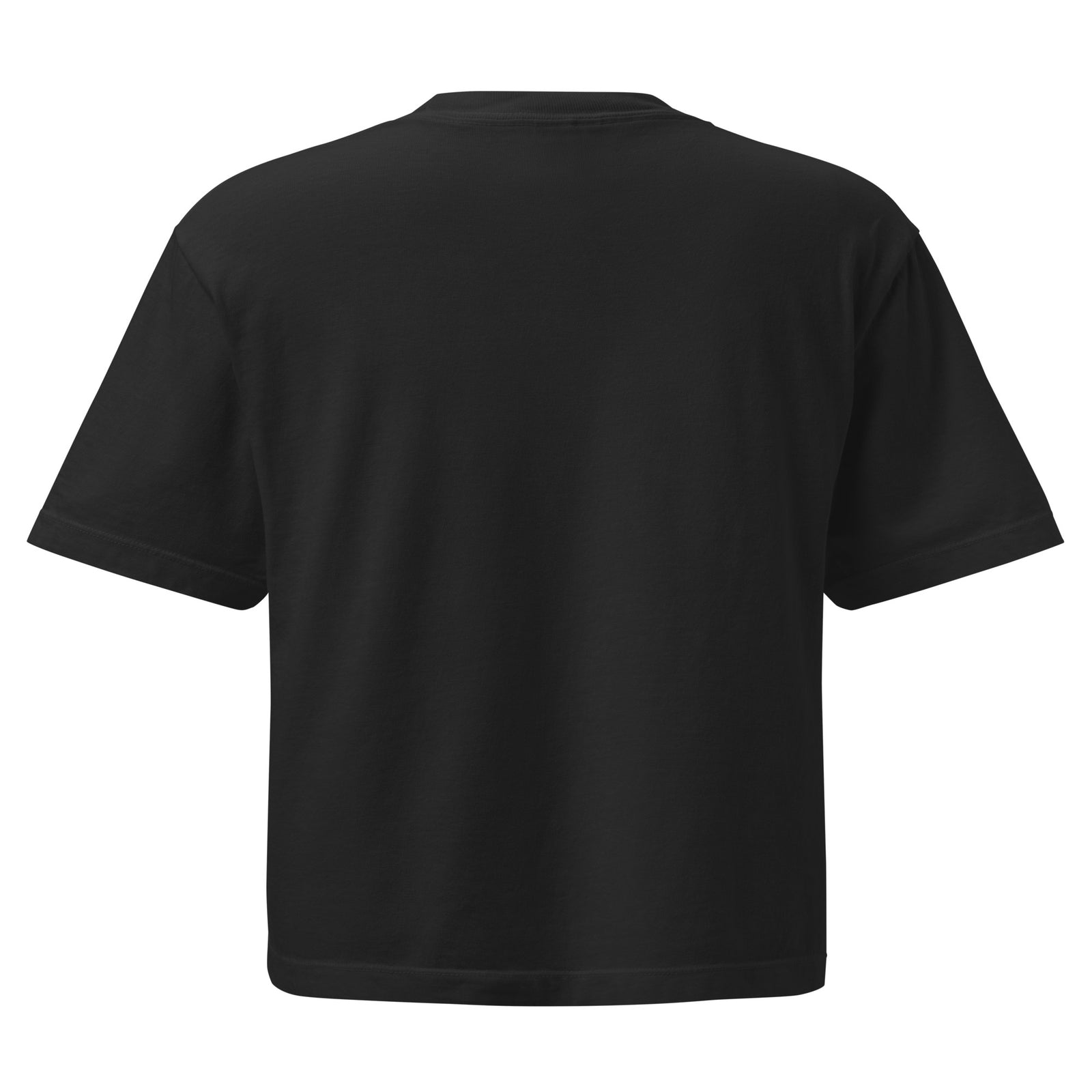 Ohio Border Cropped T Shirt