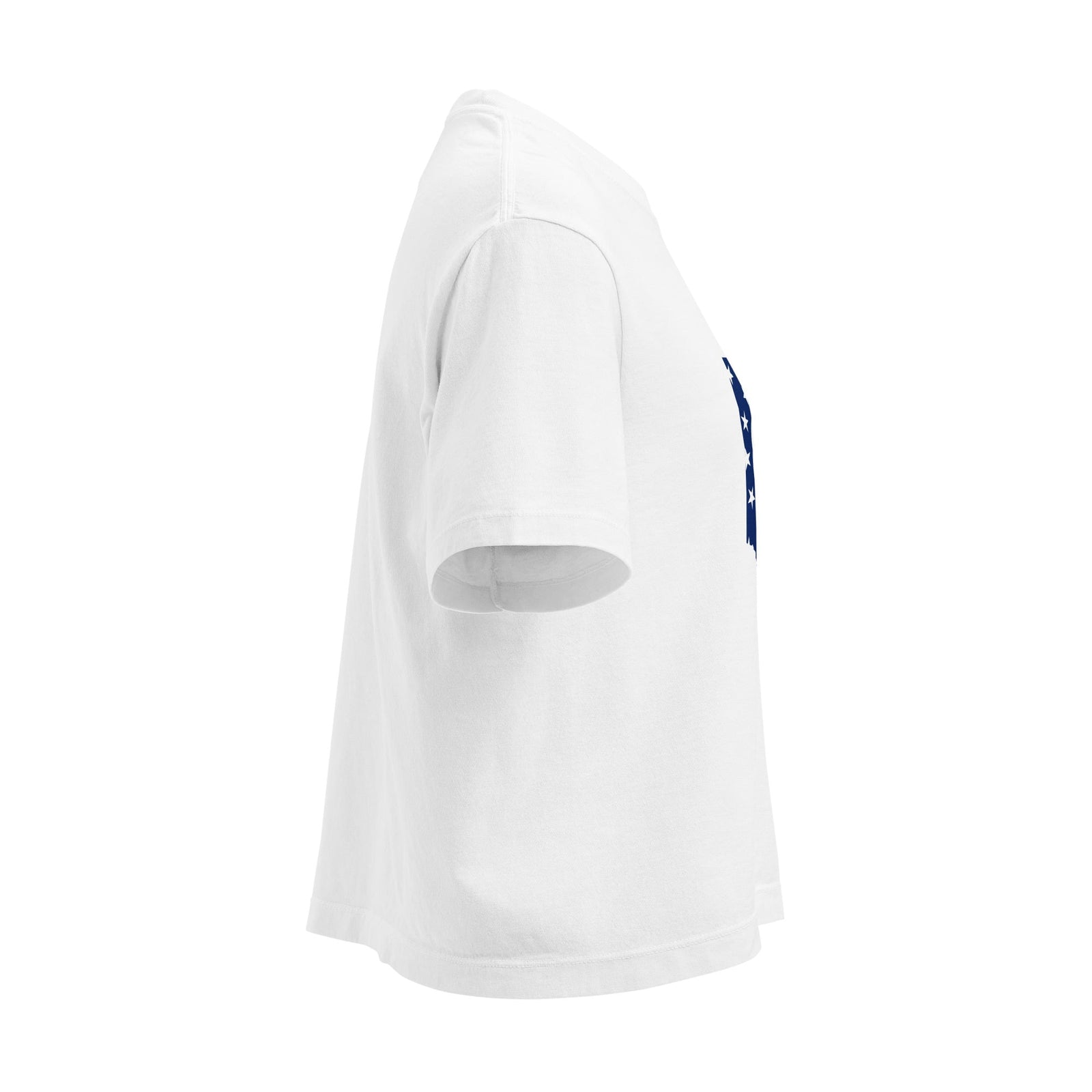 Ohio Flag Cropped T Shirt