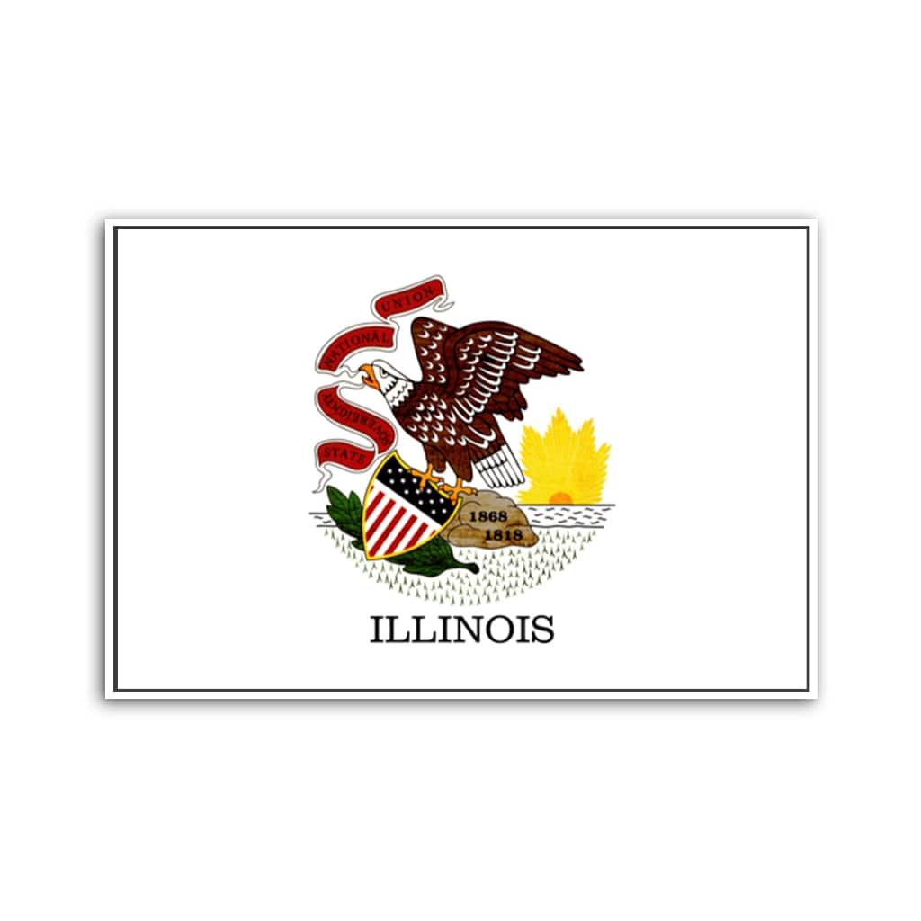 Rustic Illinois Flag Canvas Wall Art Print