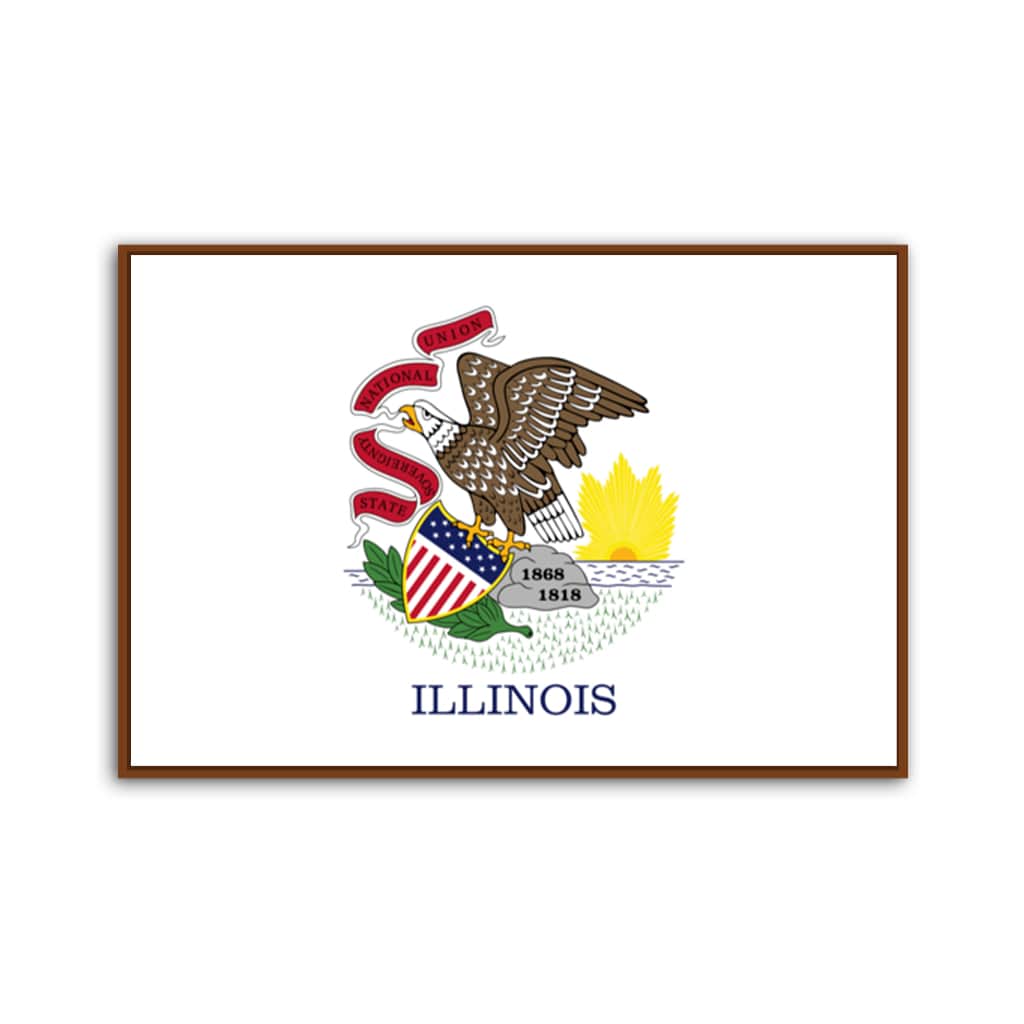 Illinois Flag Canvas Wall Art Print