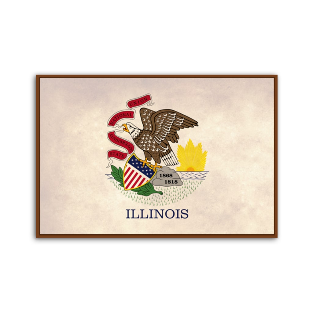 Distressed Illinois Flag Canvas Wall Art Print