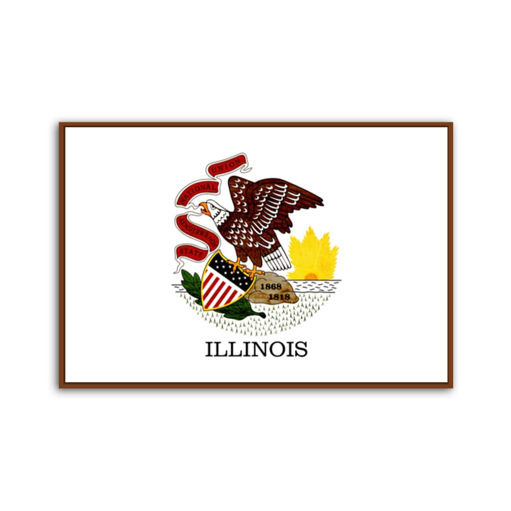 Rustic Illinois Flag Canvas Wall Art Print