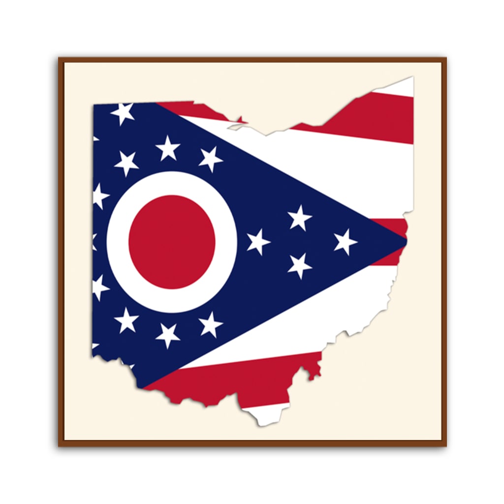 Ohio Flag Silhouette Canvas Wall Art Print
