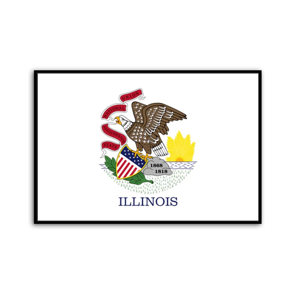 Illinois Flag Canvas Wall Art Print