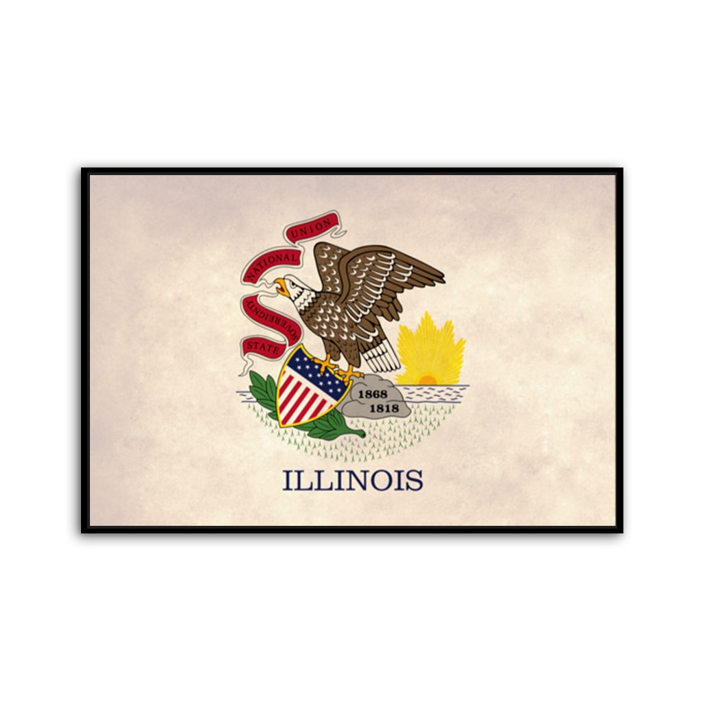 Distressed Illinois Flag Canvas Wall Art Print