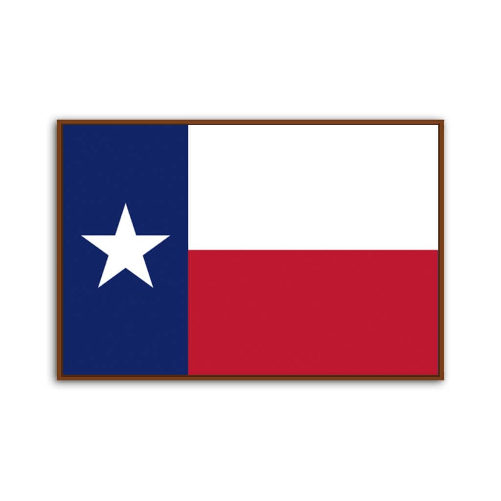 Texas Flag Canvas Wall Art Print