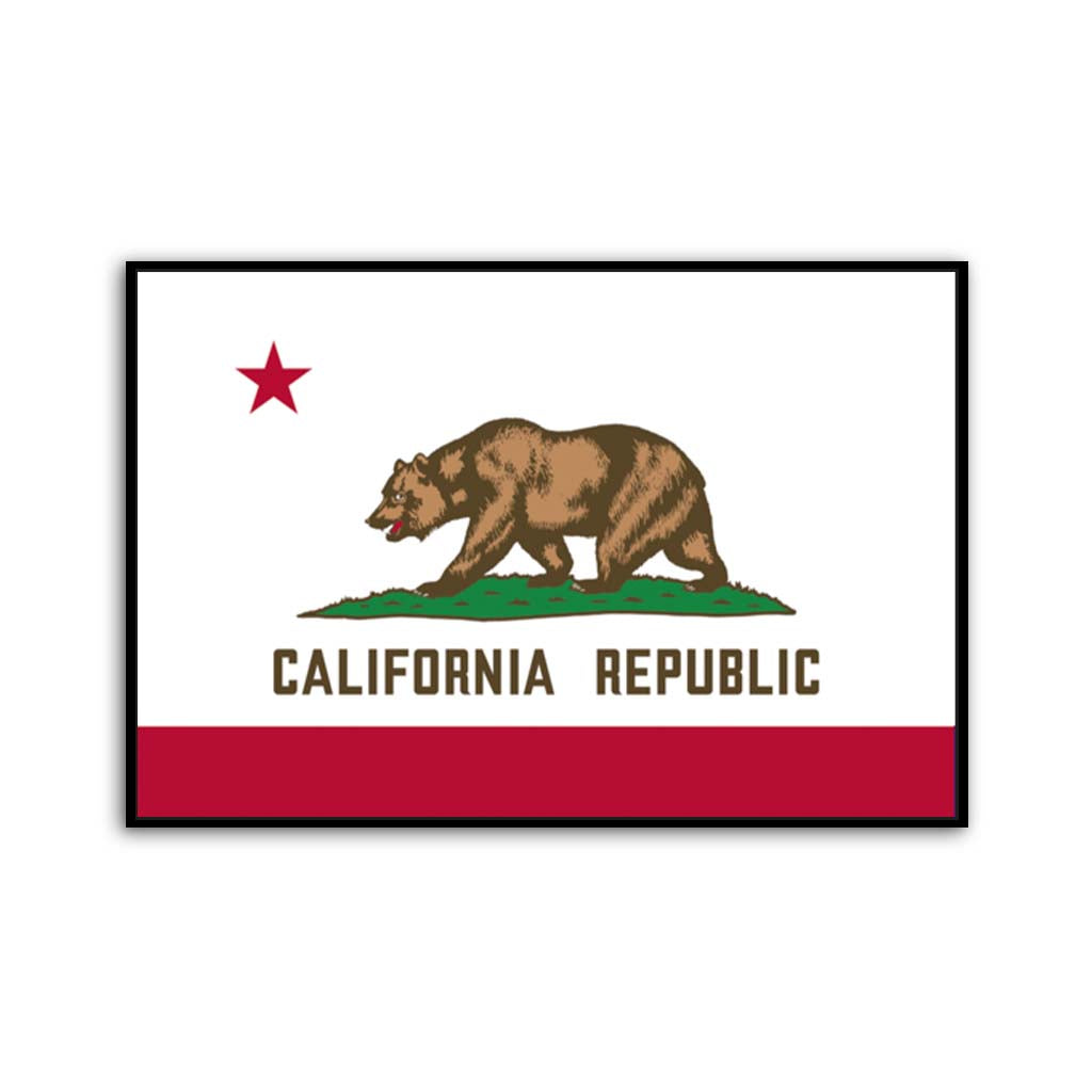 California Canvas Flag Art Print