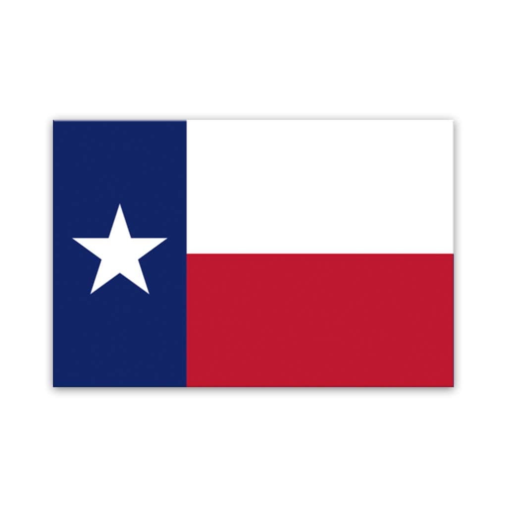 Texas Flag Canvas Wall Art Print