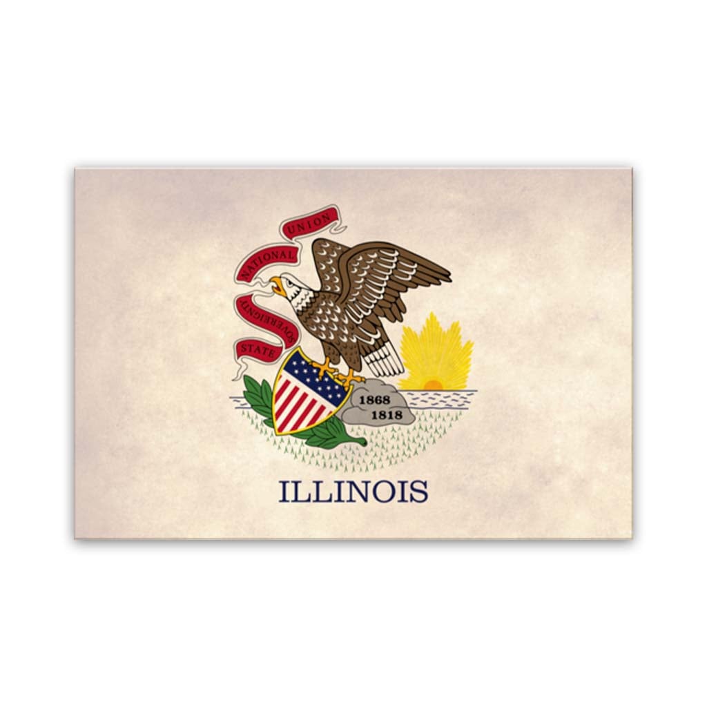 Distressed Illinois Flag Canvas Wall Art Print