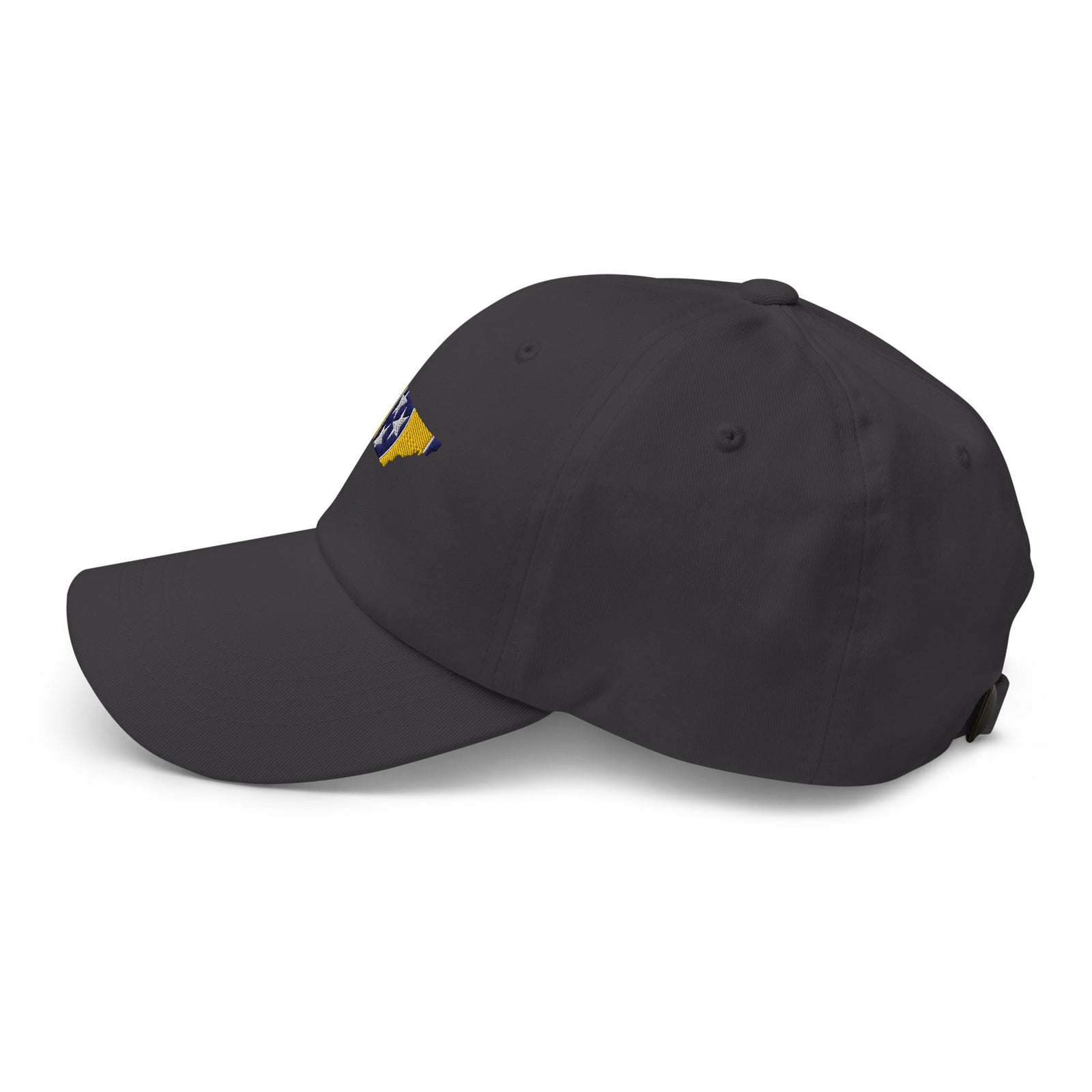 Tennessee Flag Gold & Navy Dad Hat