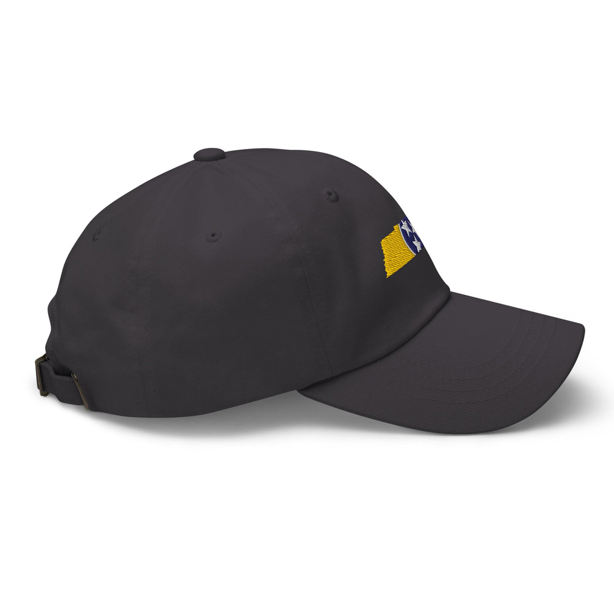 Tennessee Flag Gold & Navy Dad Hat