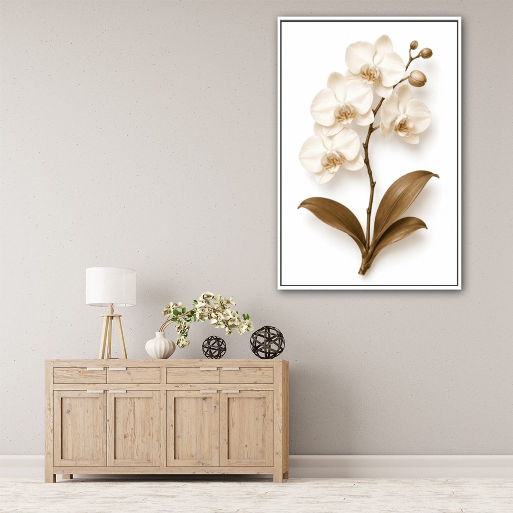 frame-white