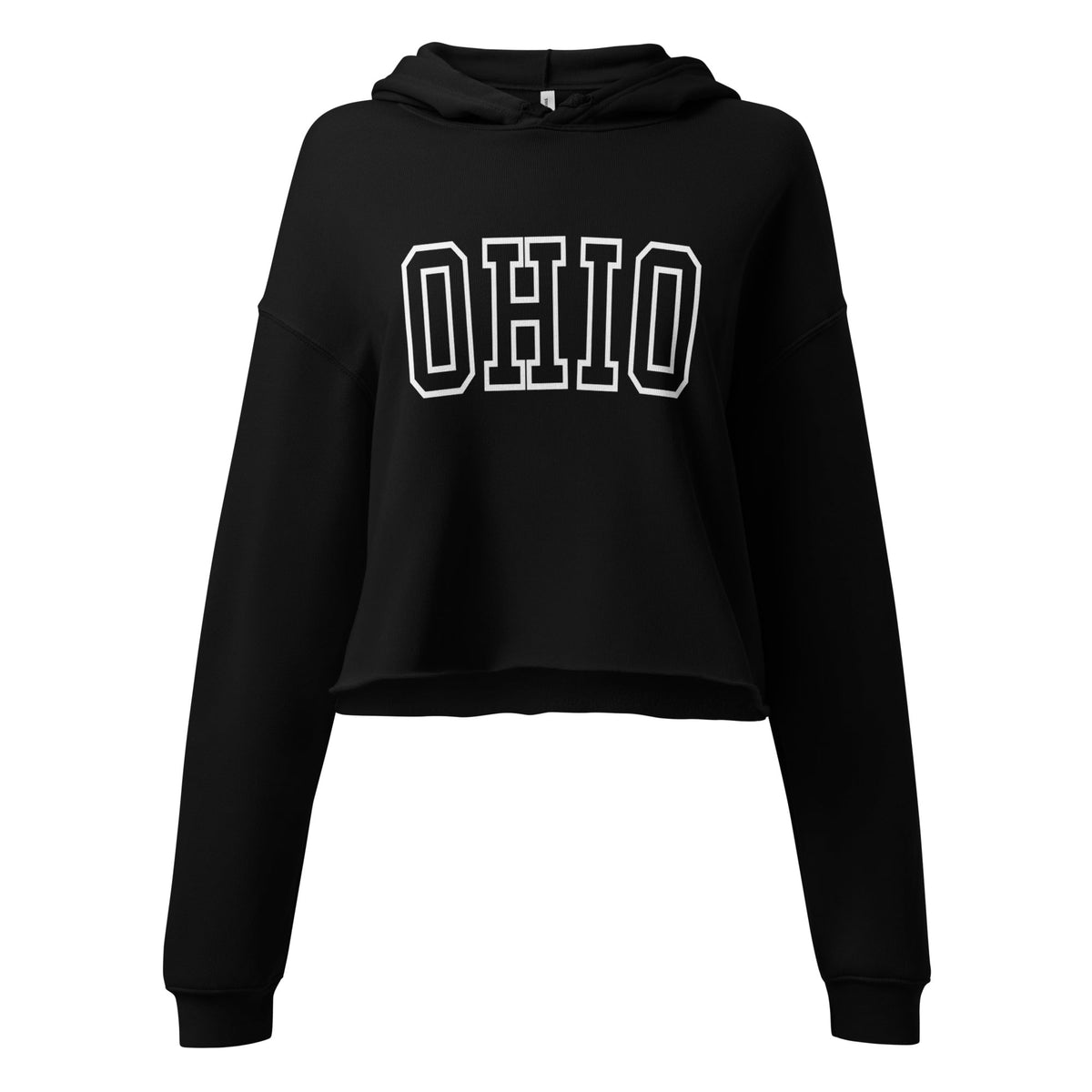Collegiate Ohio Cropped Hoodie