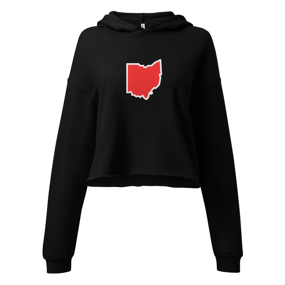 Ohio Border Cropped Hoodie