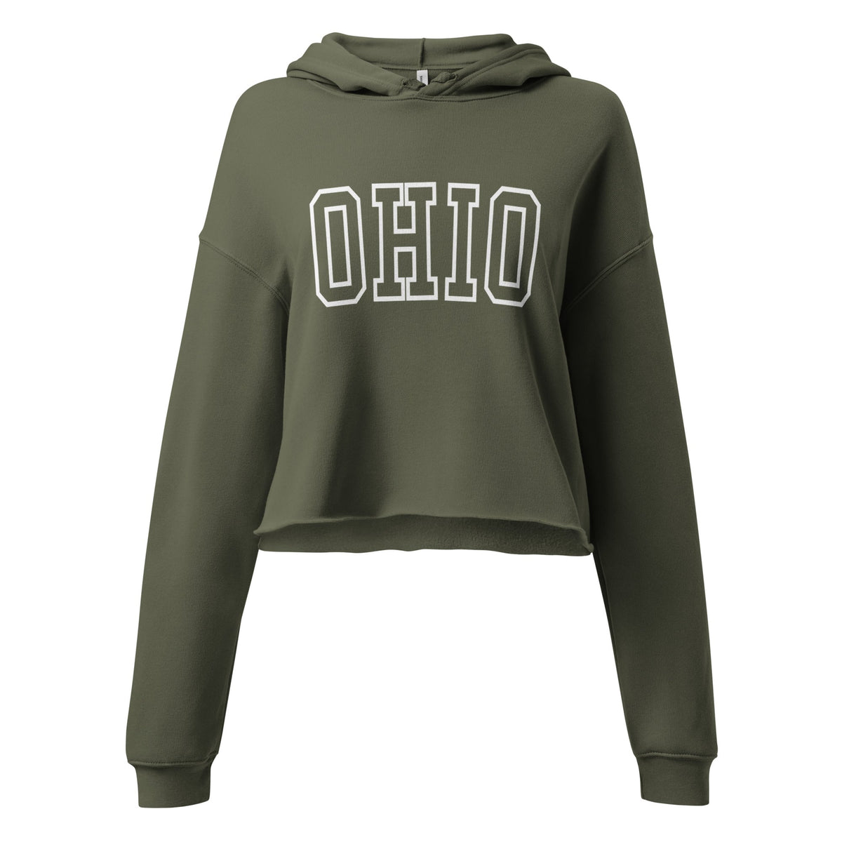 Collegiate Ohio Cropped Hoodie
