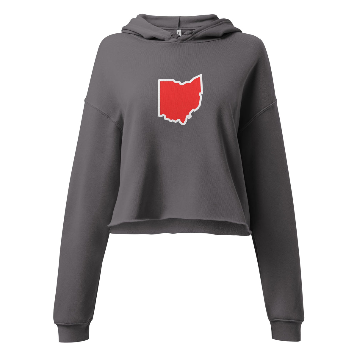 Ohio Border Cropped Hoodie