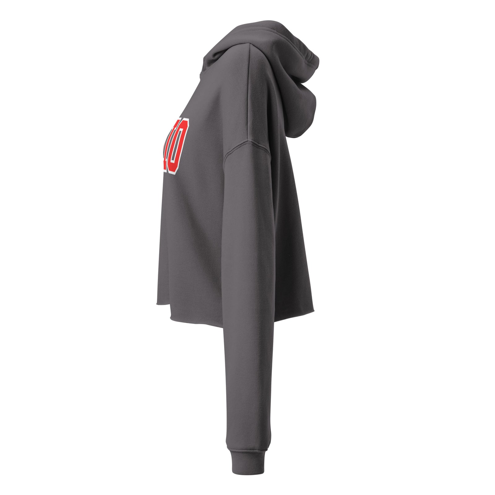 Red Collegiate Ohio Cropped Hoodie