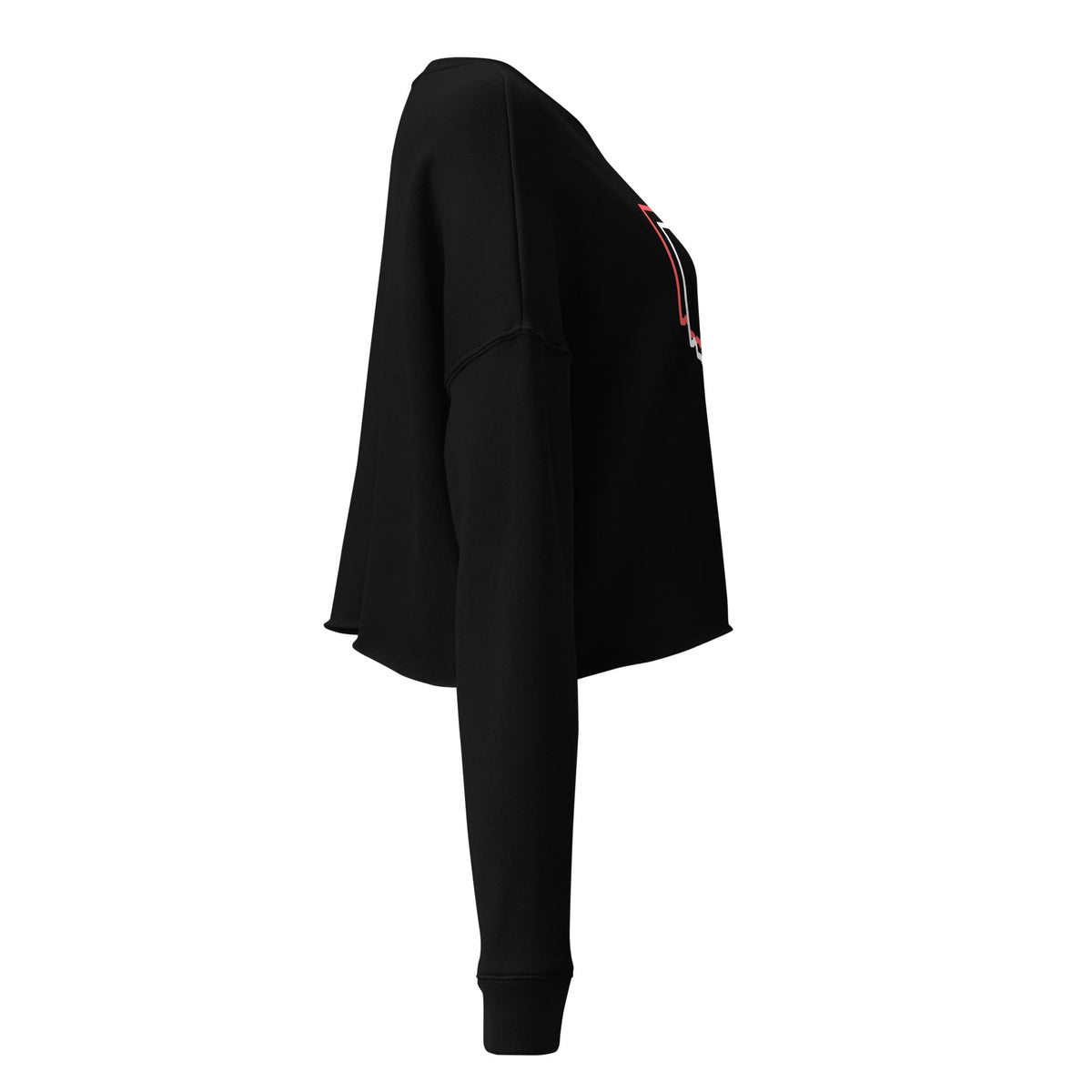 Ohio Offset Cropped Sweatshirt