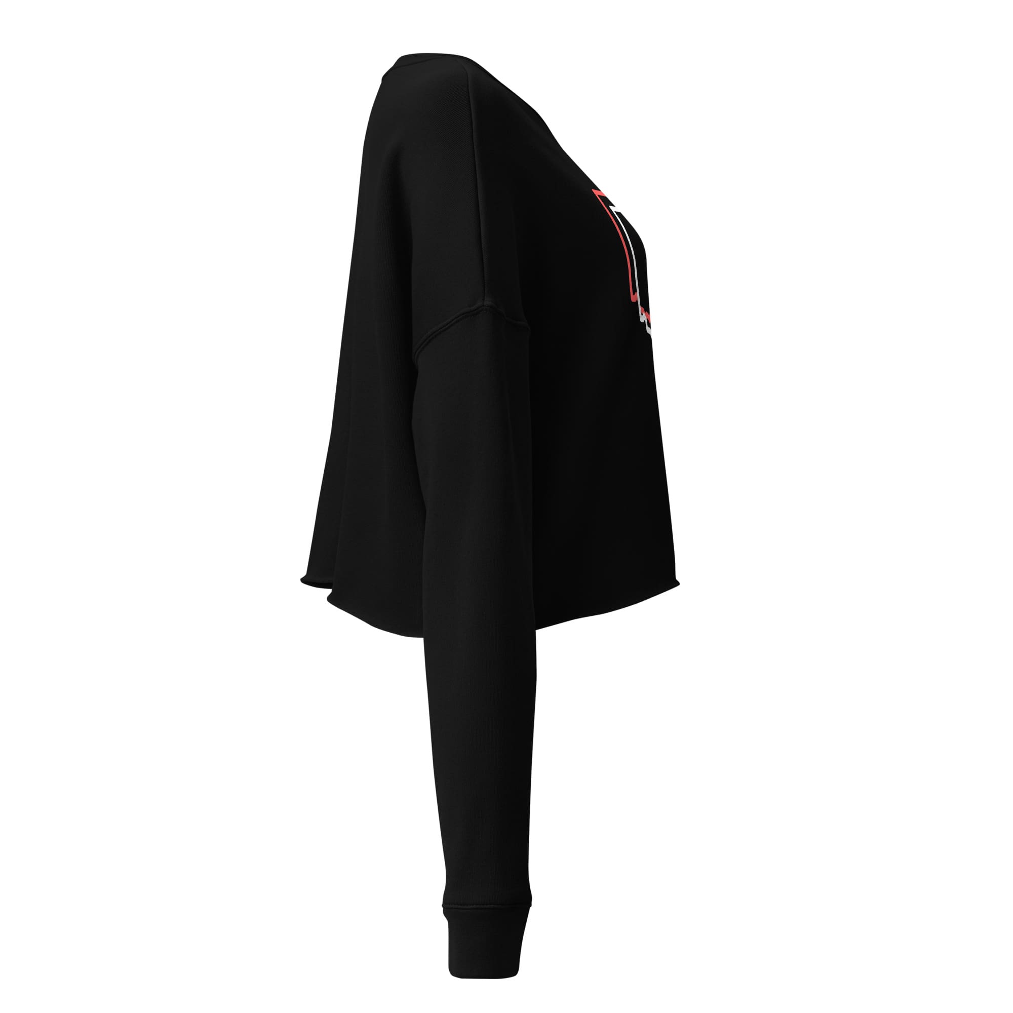 Ohio Offset Cropped Sweatshirt