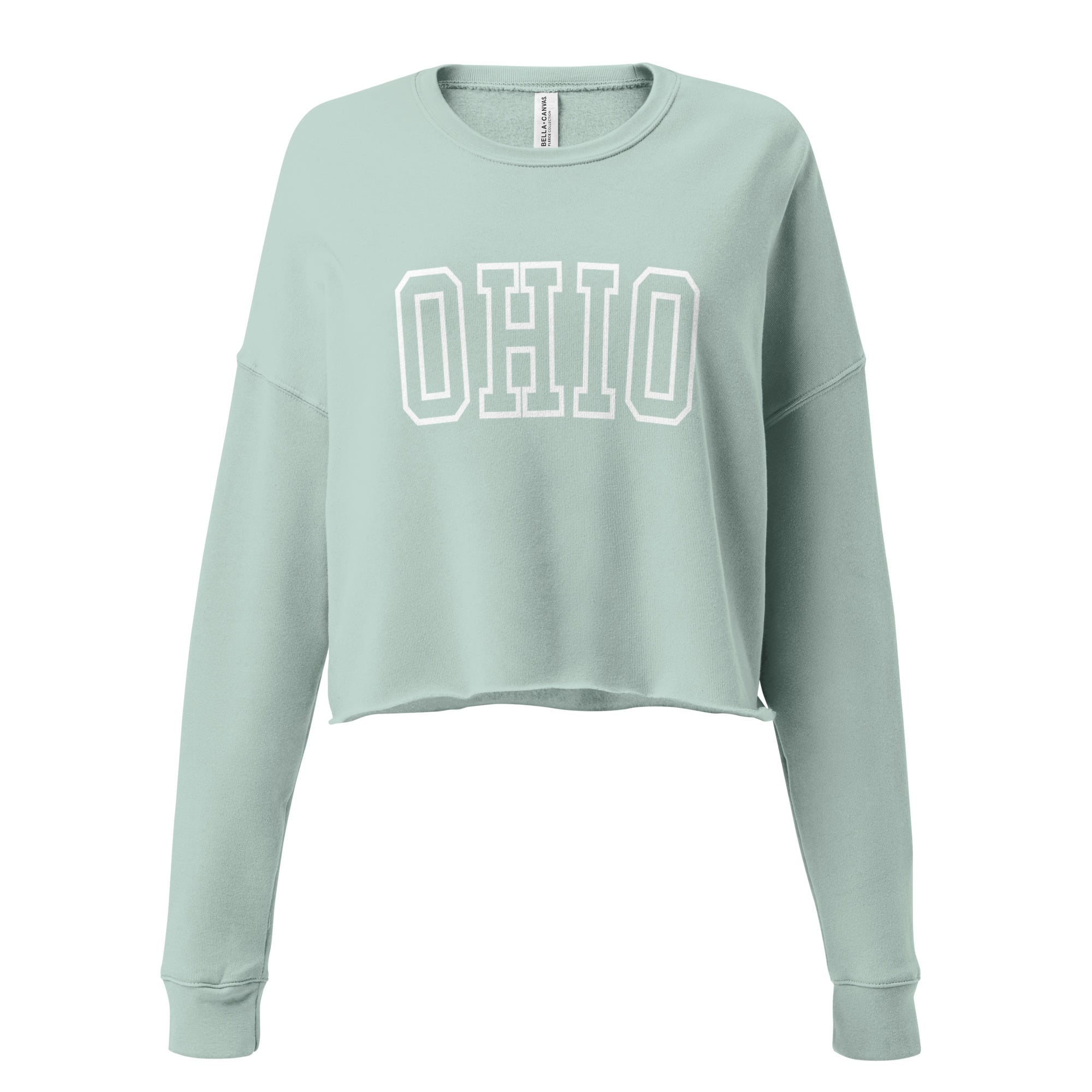 Collegiate Ohio Cropped Crewneck