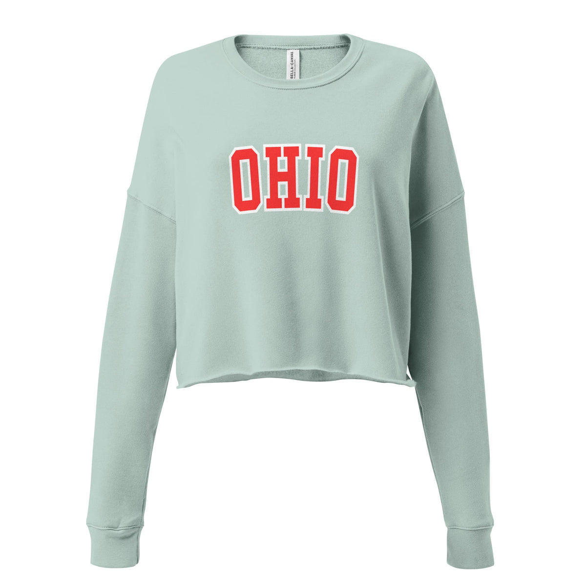 Red Collegiate Ohio Cropped Sweatshirt